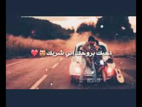 غنيه سيف نبيل احبك بروحك إني شريك