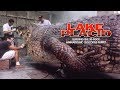 Lake placid  building the 30foot animatronic crocodile