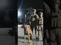 This Belgian Malinois Jumped From A Helicopter 😳🐕🚁