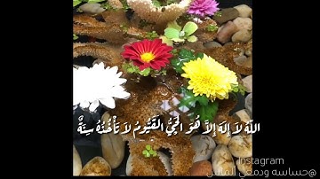 حالات واتساب انستقرام فيسبوك  عن أذكار  الصباح والمساء بصوت مشاري العفاسي صوت روعه و جميل👍