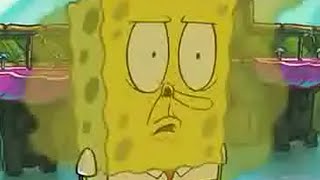 quality spongebob shitpost 👌