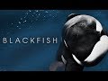Blackfish 2013 Official Trailer Magnolia Selects 