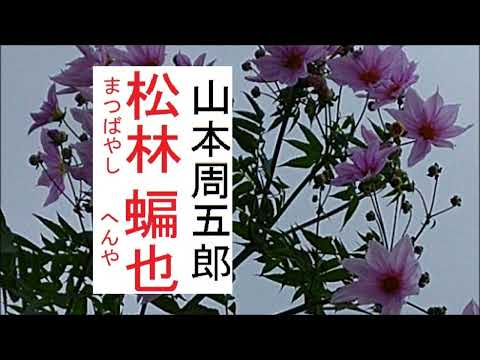 「松林蝙也,」,作,山本周五郎,※読切！,【解説,朗読,】,by,イオギ,・井荻新,