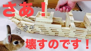 壊すとみせかけてコテ寝するうさぎ #549