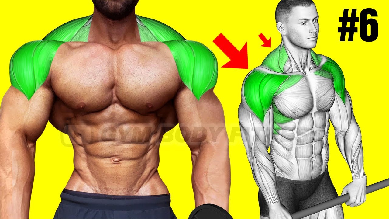 6 Barbell Exercises to Build Massive Shoulders YouTube