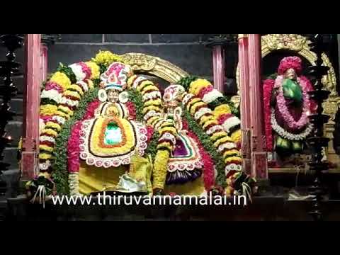 Tiruvannamalai Chithirai Vasantha Utsavam video - 2020