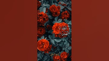 تلاوة عطرة من سورة الحشر