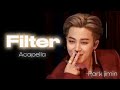 Bts Jimin Filter Acapella Version Bts Jimin Music