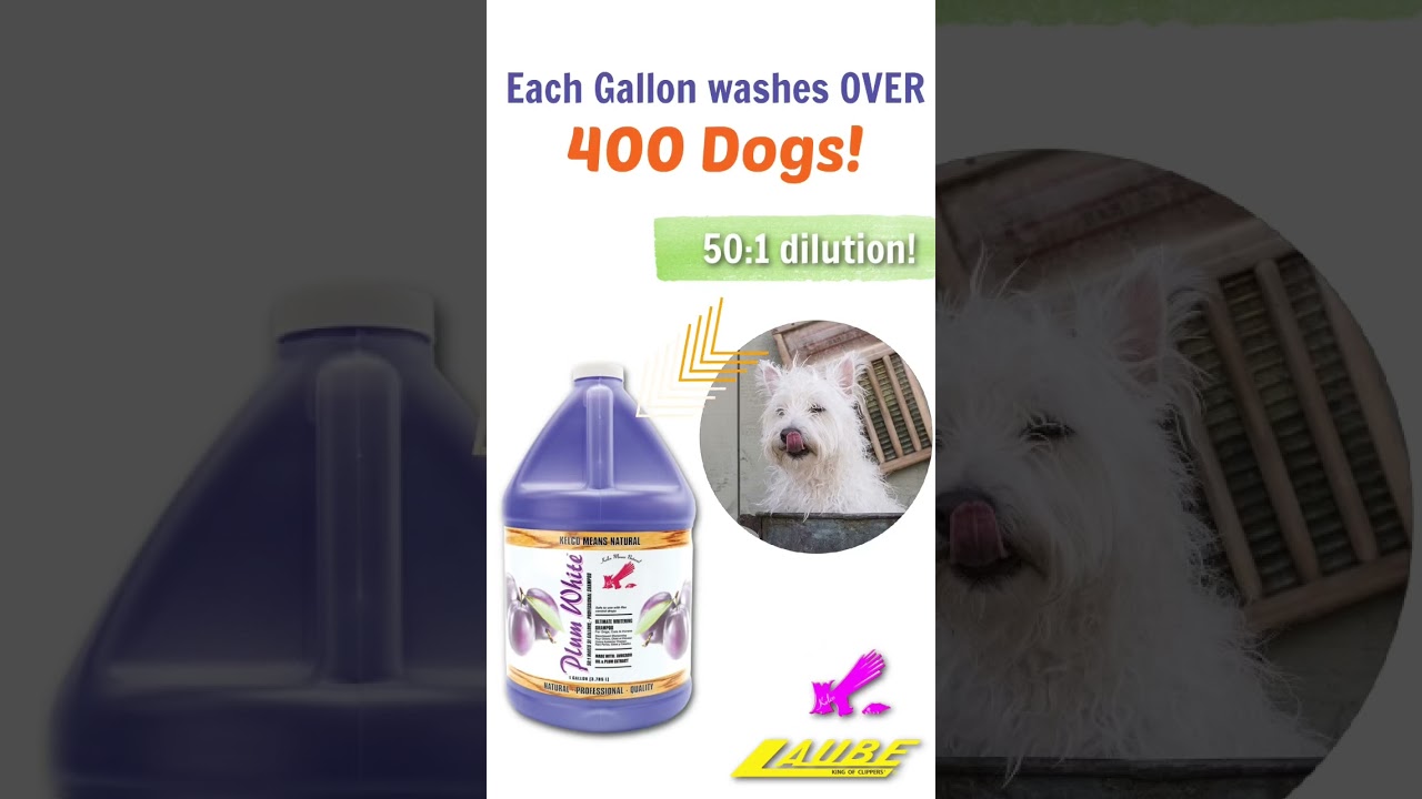 What does a 50:1 dilution ratio in pet shampoo mean for you?! 🫧💛 