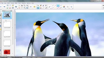 Sympodium Instructional Video