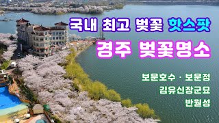 [경주벚꽃여행] 도시 전체가 벚꽃에 물드는 한국 대표 벚꽃 명소 경주 - 보문호수 · 보문정 · 김유신장군묘 · 반월성 · 벚꽃야경
