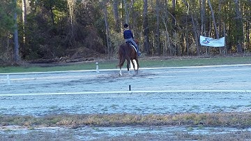 Basic downward transitions using positive reinforcement video 3 Day 2