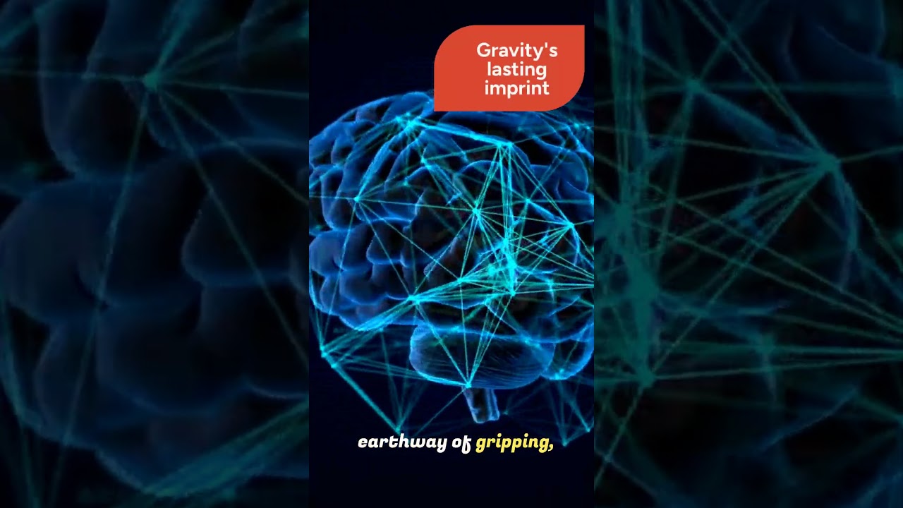 How Astronauts Adapt Their Hand Grip in Space