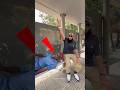 Look Who Came ЁЯШВ Karachi Pakistan Shorts Police Look Who Came ЁЯШВ Karachi Pakistan Shorts Police