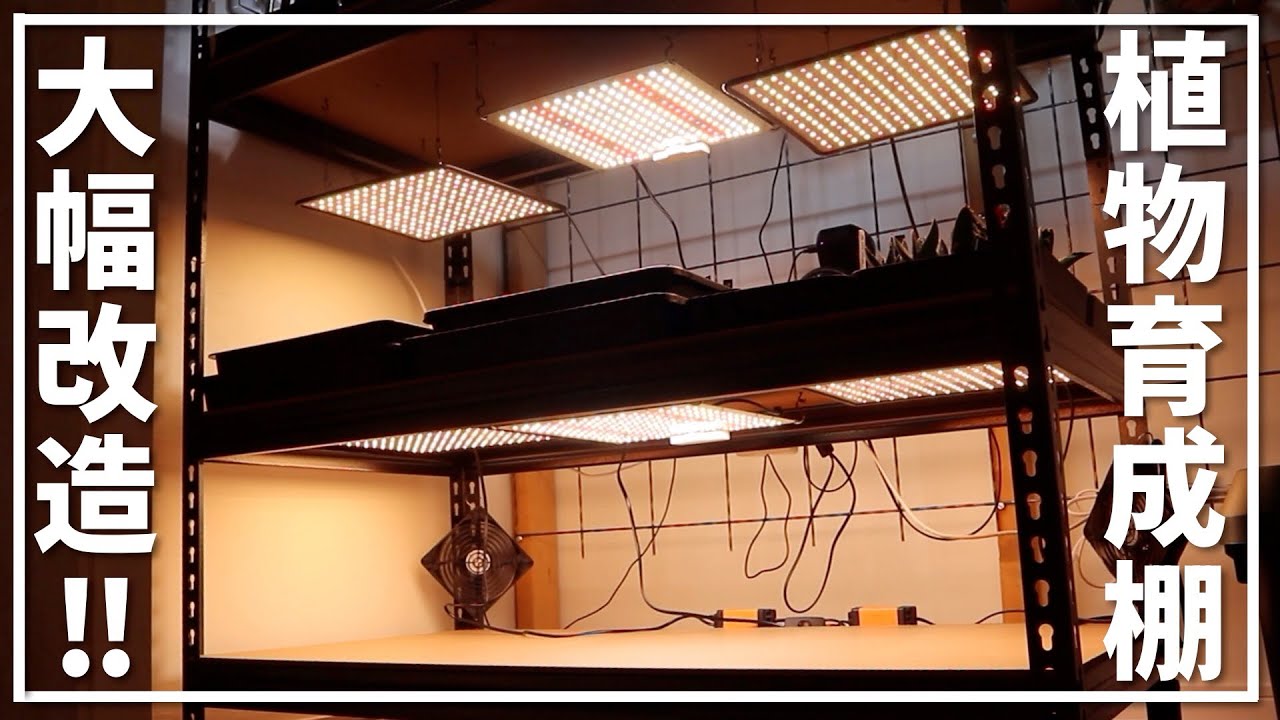 まだ増やせる、まだ蒔ける】我が家の育成スペース拡大計画!! ｜多肉