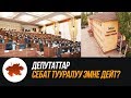 Депутаттар Себат тууралуу эмне дейт?