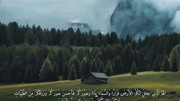 إِنَّ السَّاعَةَ لَآتِيَةٌ لَا رَيْبَ فِيهَا// رعد الكردي _سورة غافر