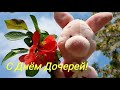 С Днём Дочерей! Поздравляю тех, у кого есть дочери! 25 апреля!