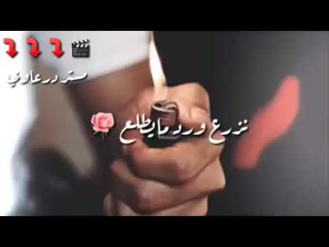 نزرع ورد ما يطلع