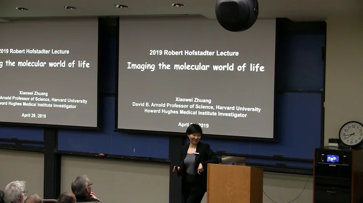 Hofstadter Lecture 2019: Xiaowei Zhuang - "Imaging the molecular world of life" - DayDayNews