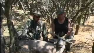 California deer hunt