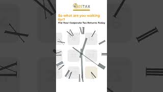 Don&#39;t Miss the Corporate Tax Deadline SEPTEMBER 30TH!