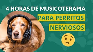 🎼🐶Musicoterapia para perritos nerviosos 🤯 🎶 PERRHIJOS 🐕 🎋4 horas de música relajante para perros 🐩🎧 by Perrhijos 555 views 9 months ago 4 hours, 1 minute