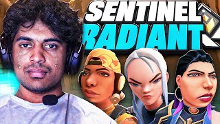 This team made me cry.. | Sentinel to Radiant #21