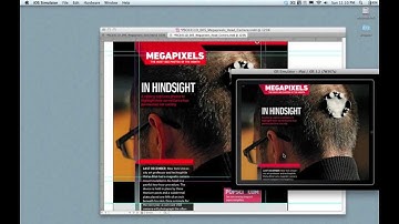 Tutorial: Introduction to Mag+ pinning | Mag+ tutorial