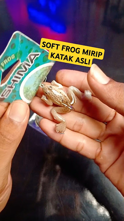 Rekomendasi umpan casting gabus gacor #mancing #fishing #casting #castinggabusbesar