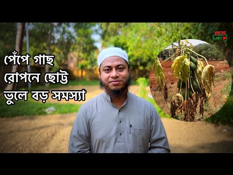 ভিডিও: ঘোড়া কতদিন বাঁচে? যত্ন ও রক্ষণাবেক্ষণ