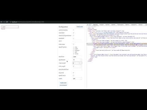 Visually validating form fields with run-time rule changes
