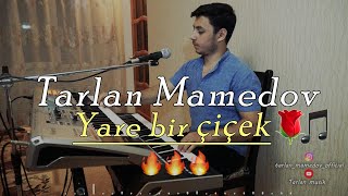 Tarlan m-Yare Bir Çiçek (2020) Resimi