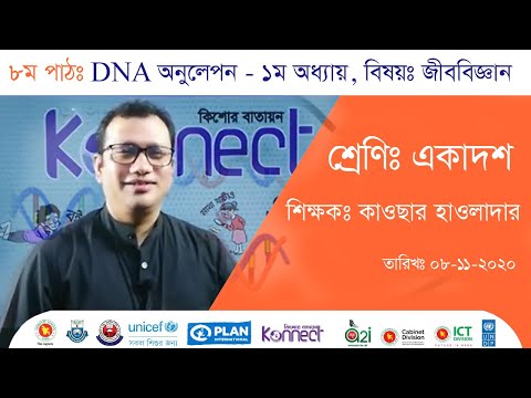 DNA অনুলেপন, জীববিজ্ঞান, ১ম পত্র,  শ্রেণিঃ একাদশ