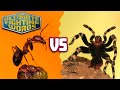 Ultimate Fighting Words: Ants vs. Spiders