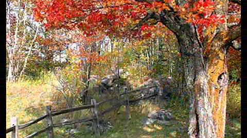 Laurie Lewis - The Wood Thrush's Song