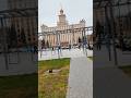 South Ural State University Russia 🇷🇺 #shortvideo #ytshorts #shortsfeed #russia