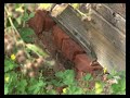 В городе Дегтярске Свердловской области миллионный гражданин РФ получил ключи от новой квартиры в рамках реализации 185-ФЗ.