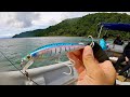 El Señuelo Favorito de los Pargos y Robalos ! | Pesca con Minnow