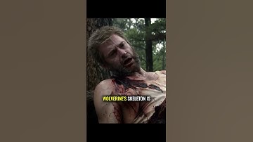 Why Wolverine’s Adamantium Is Slowly Killing Him | 😞😢