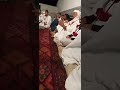عييت ما نراقب سيدي أحمد بونقاب الديوان مدح التجاني عييت ما نراقب سيدي أحمد بونقاب الديوان مدح التجاني