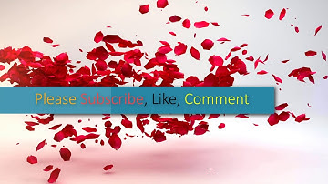 Serial Review_Intro and outro