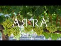 Arra varieties  we create timeless varieties that farmers love to grow and consumers love to eat