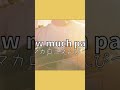 tow much pain/マカロニえんぴつ今も愛してる。