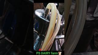 Milk machine🐮#shorts#farming