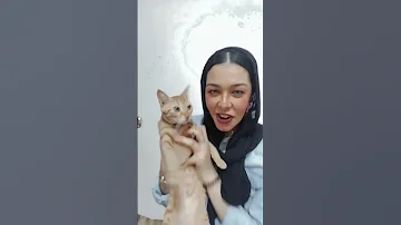 رامياهم رامية رامية شوف نارهم حامية حامية 