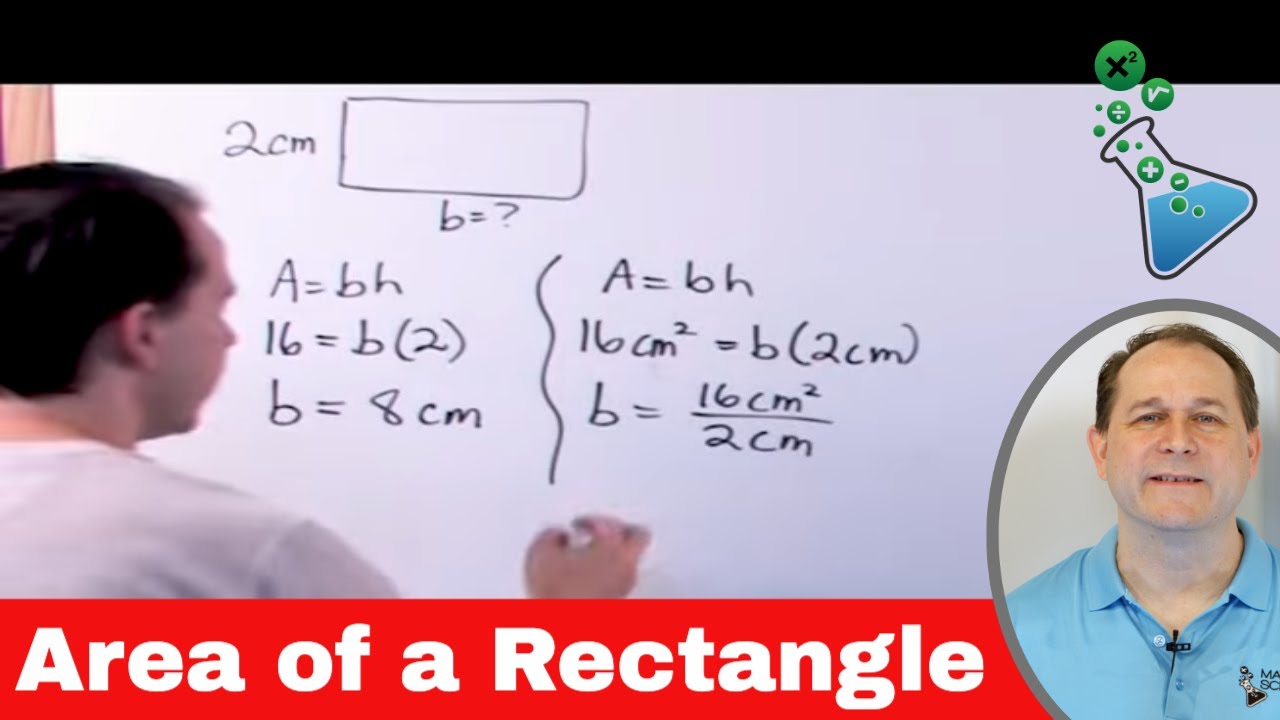 Find the Area of a Rectangle - Examples & Practice - YouTube