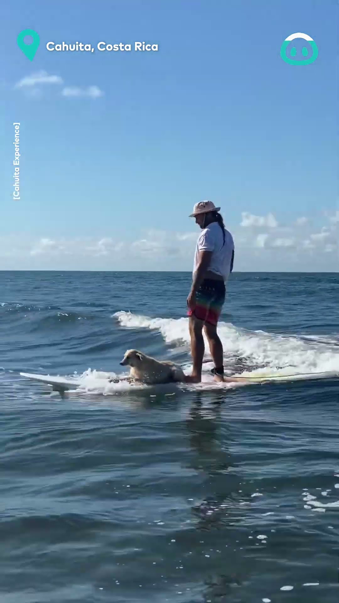 Dog Goes Surfing With Surf Instructor || ViralHog
