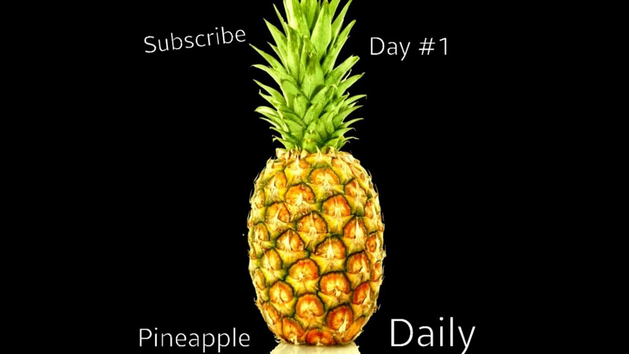 Daily pineapple Day 1 YouTube