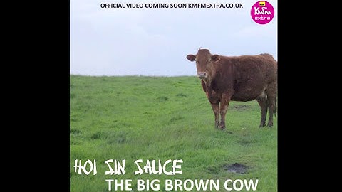 Thumbnail of Hoi Sin Sauce - The Big Brown Cow (Duck Sauce - Big Bad Wolf)